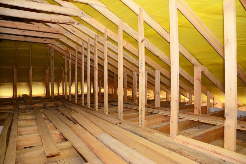 Attic Before Installation